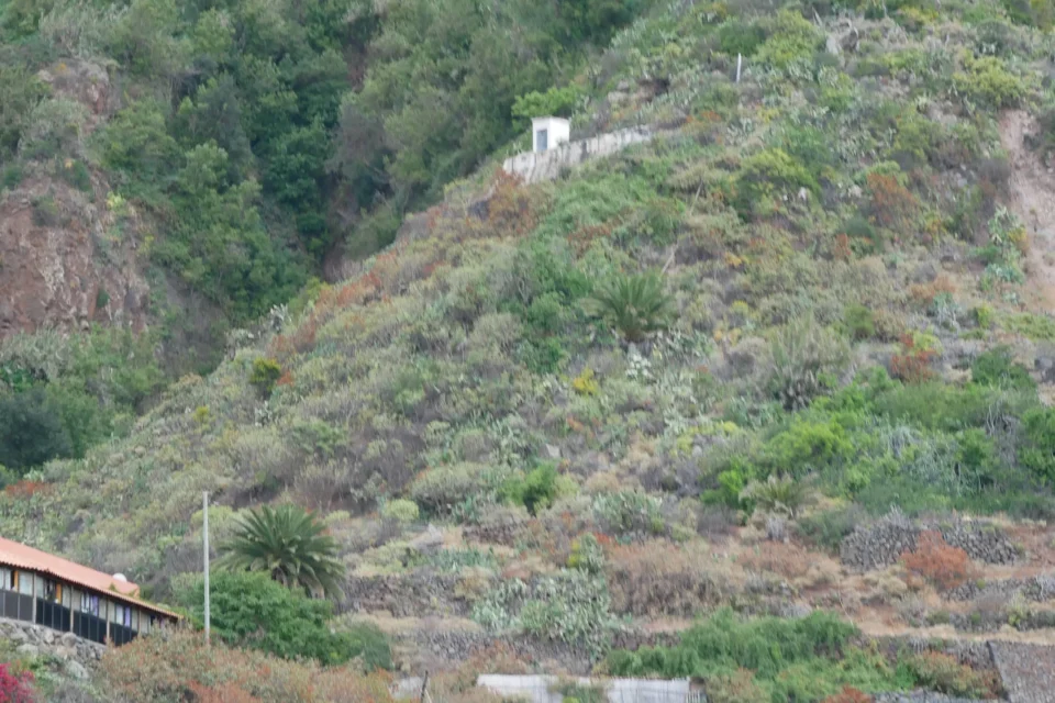 P1010336 960x640